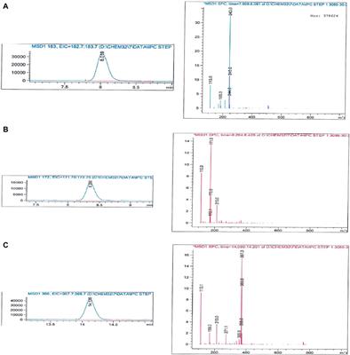 Discovery of new Schiff bases of the disalicylic acid scaffold as DNA gyrase and topoisomerase IV inhibitors endowed with antibacterial properties